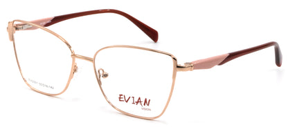 Evian Vision EVI2301