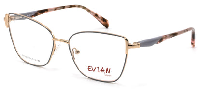 Evian Vision EVI2301