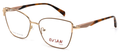 Evian Vision EVI2301