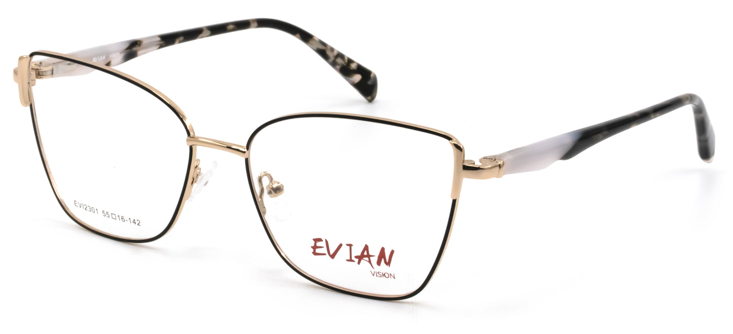 Evian Vision EVI2301