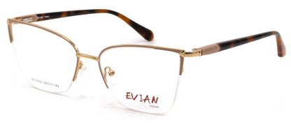 Evian Vision EVI2302