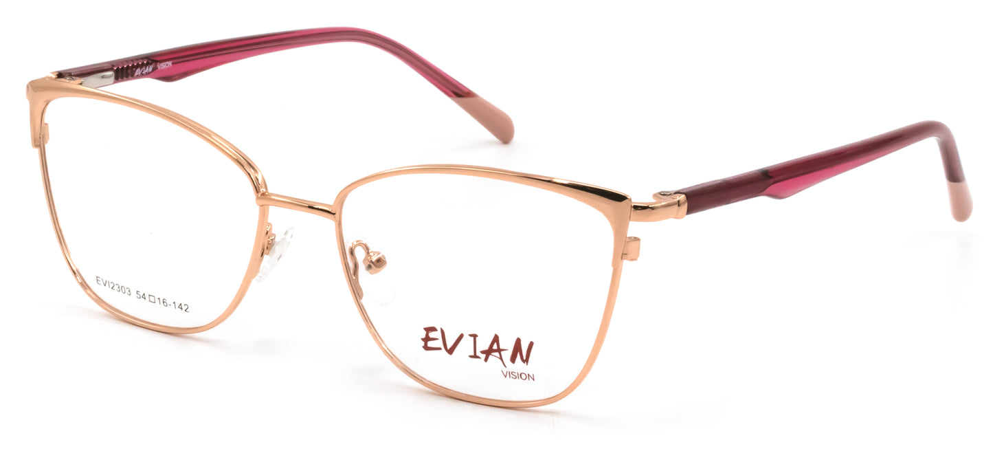 Evian Vision EVI2303