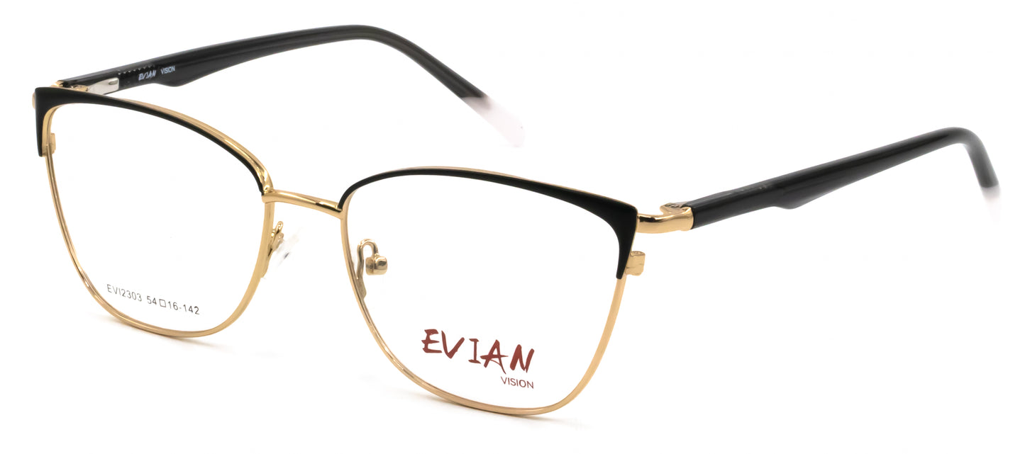 Evian Vision EVI2303