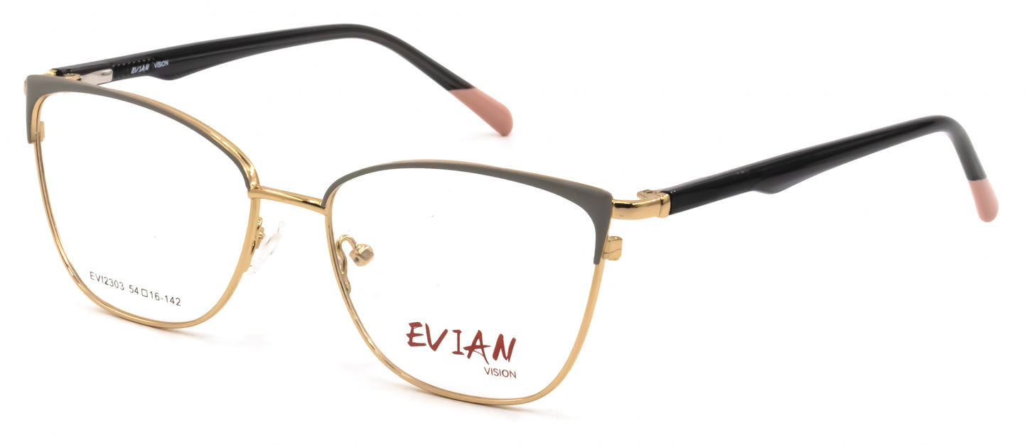 Evian Vision EVI2303