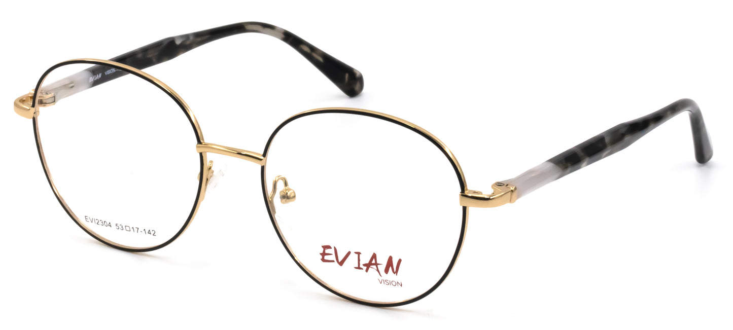 Evian Vision EVI2304