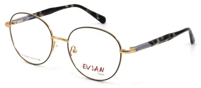 Evian Vision EVI2304