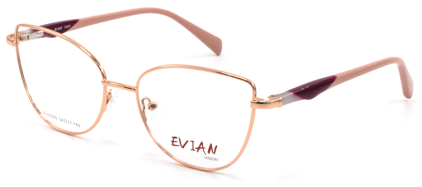 Evian Vision EVI2305