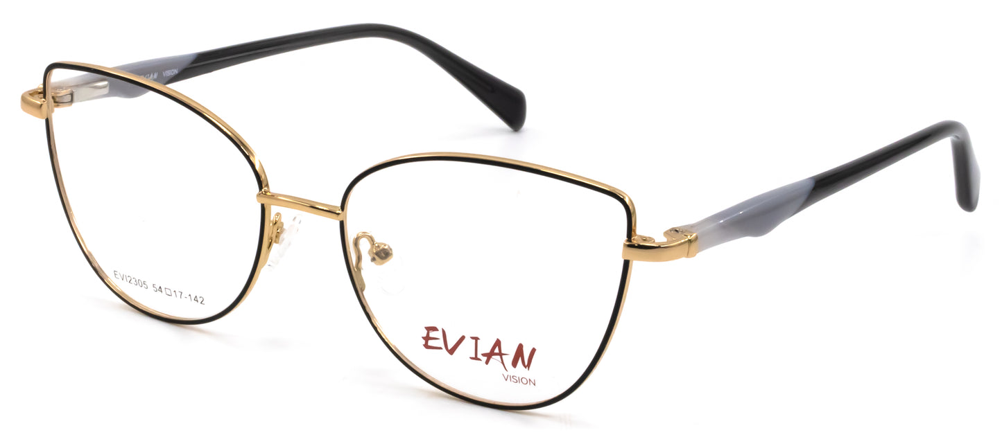 Evian Vision EVI2305