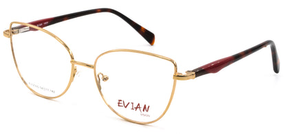 Evian Vision EVI2305