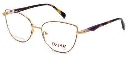 Evian Vision EVI2305