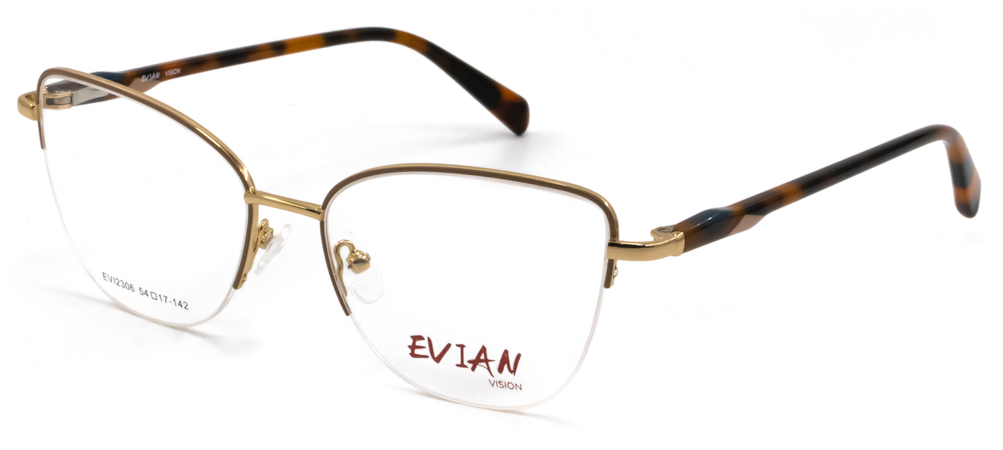 Evian Vision EVI2306