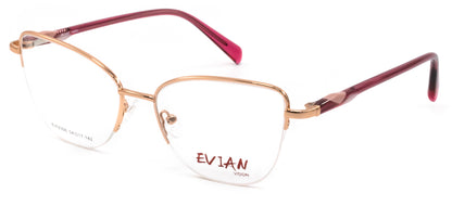 Evian Vision EVI2306