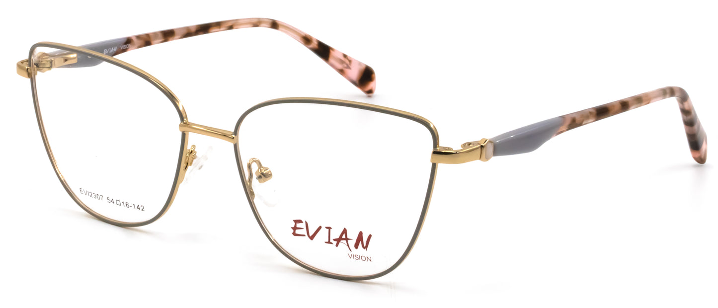 Evian Vision EVI2307