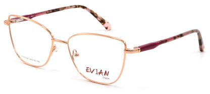 Evian Vision EVI2308