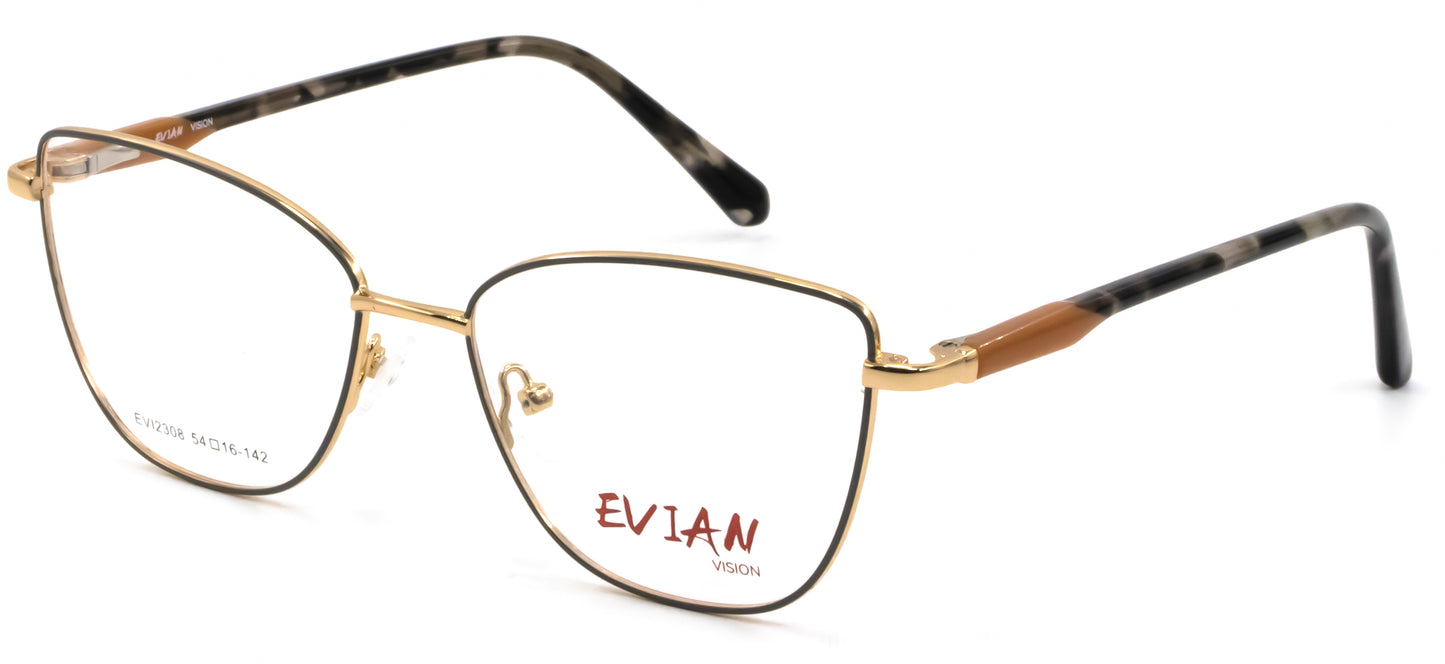 Evian Vision EVI2308