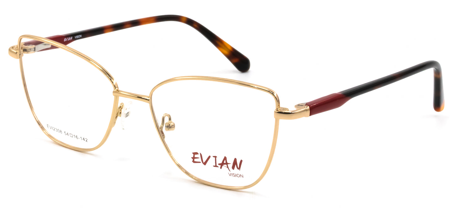 Evian Vision EVI2308