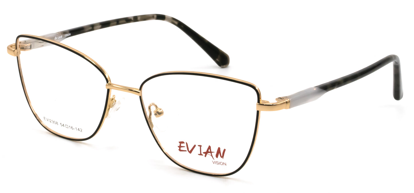 Evian Vision EVI2308