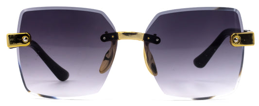 Gafas de sol FNA201