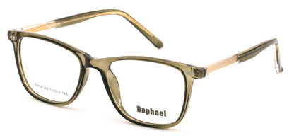 Raphael RAG8348