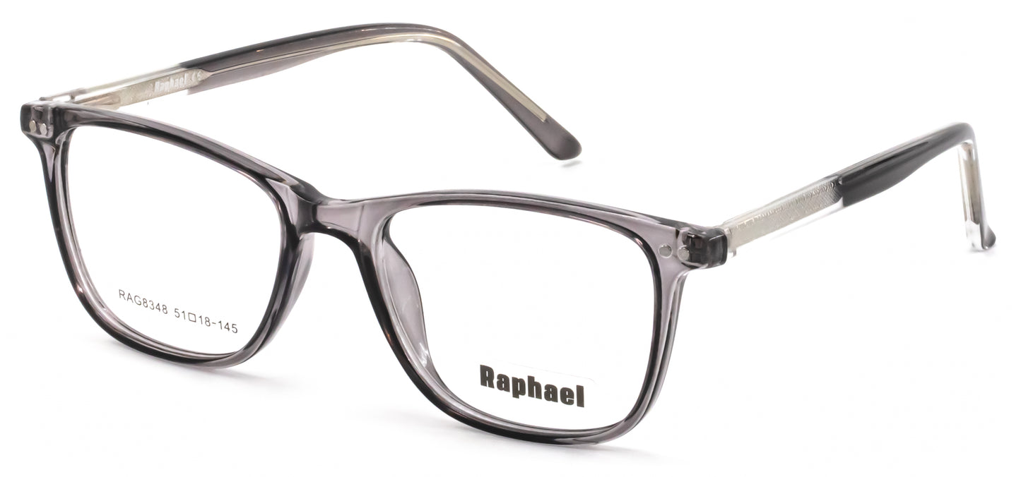 Raphael RAG8348