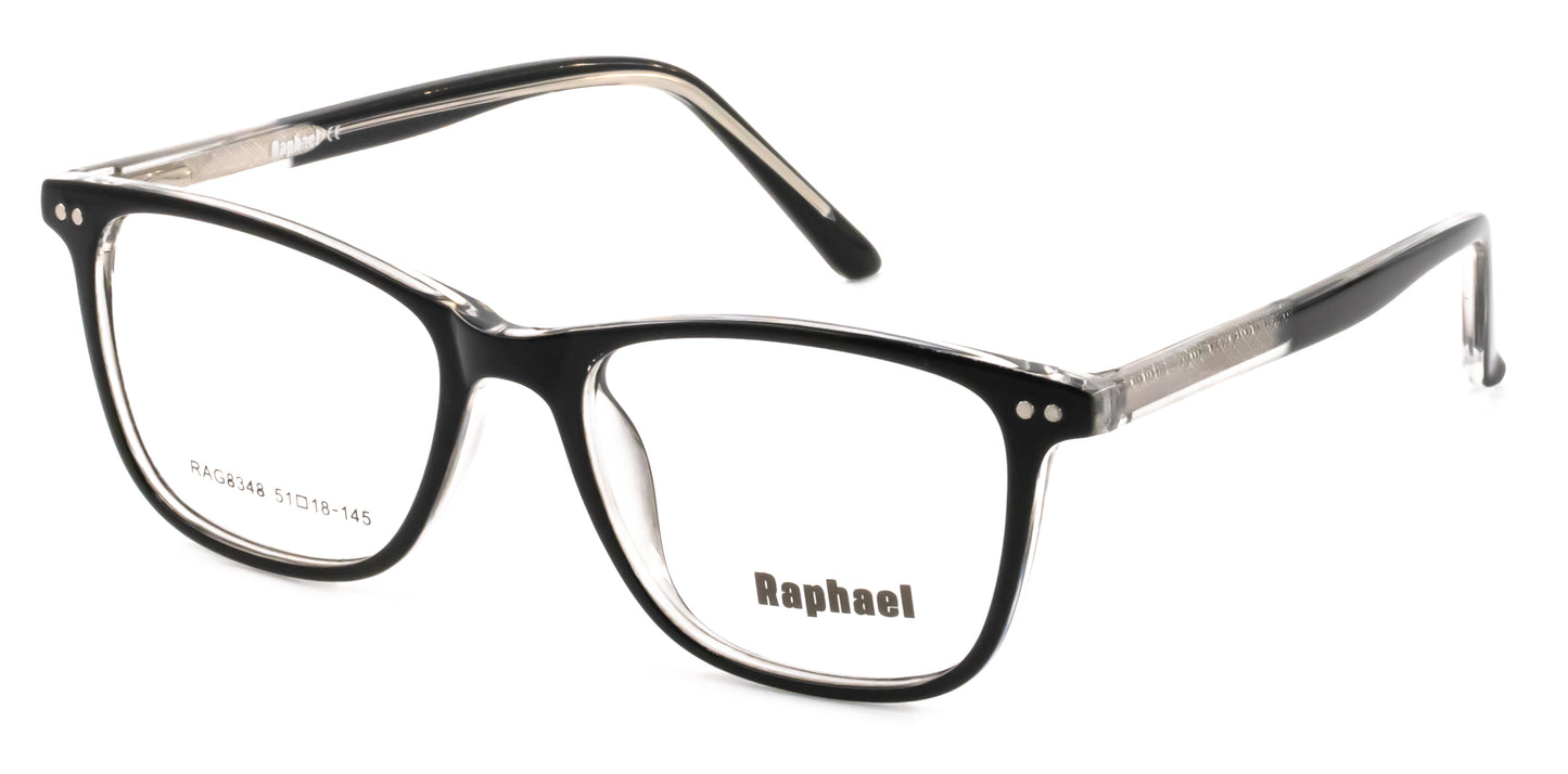 Raphael RAG8348