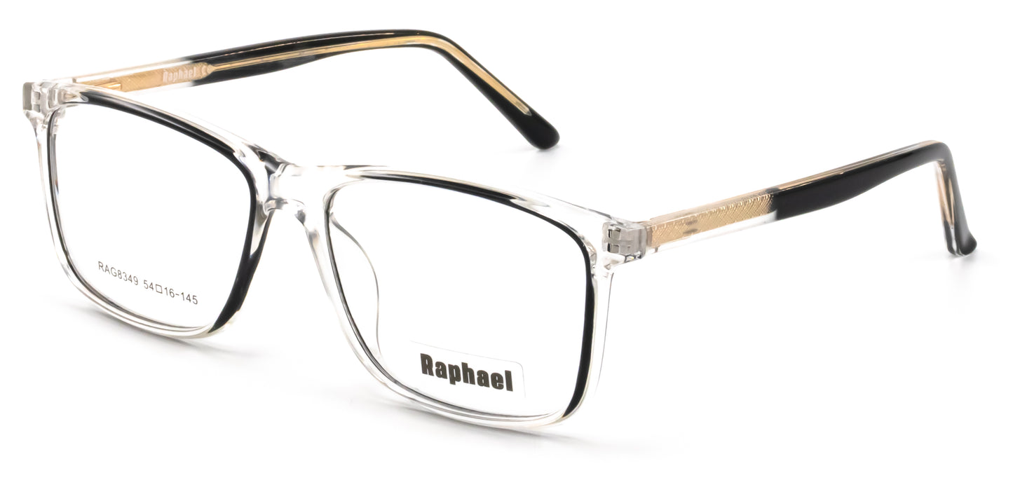 Raphael RAG8349