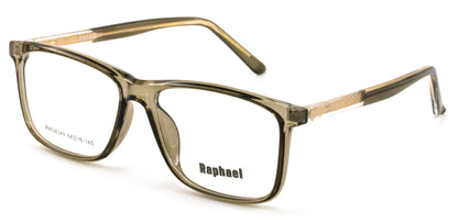 Raphael RAG8349