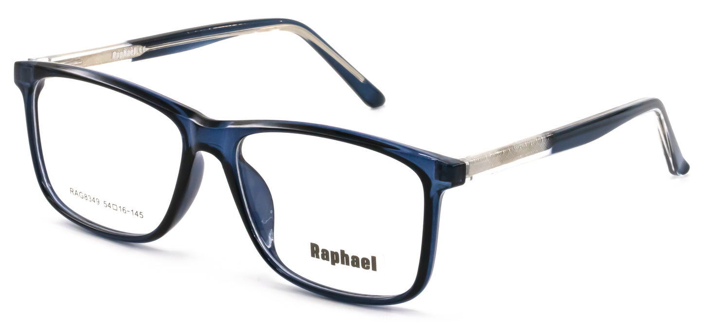 Raphael RAG8349