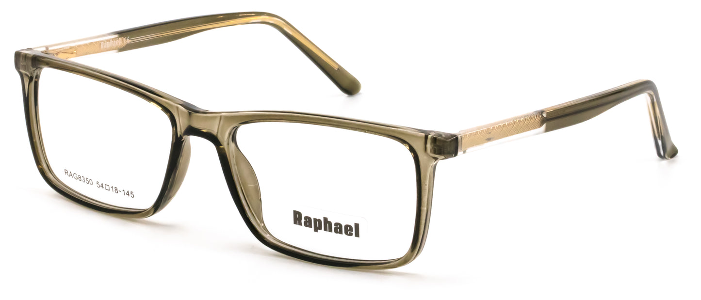 Raphael RAG8350