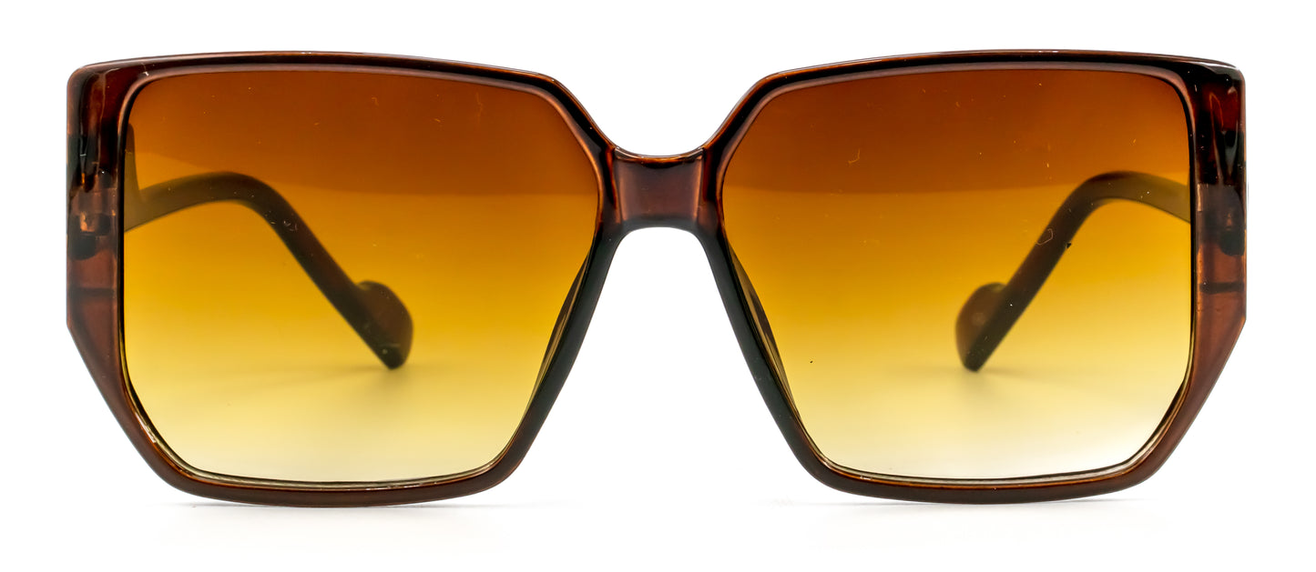 Lentes de sol WD208