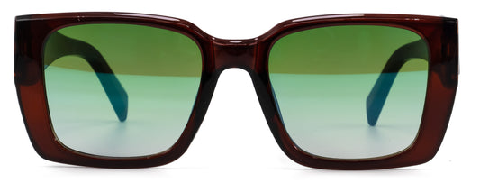 Lentes de sol WD209V